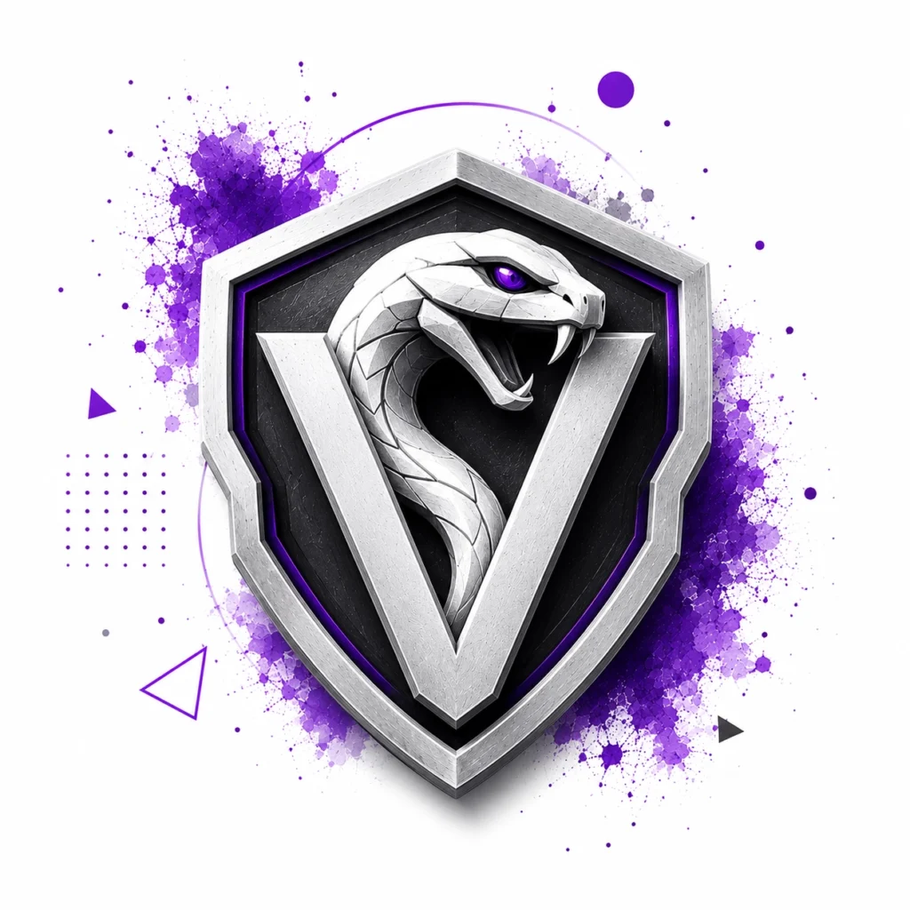 وایپر وی پی ان – Vyprvpn
